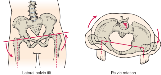 pelvicRotation